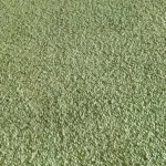 Mocheta verde, trafic intens, Avelino WFB 023, Balta ITC - Mocheta