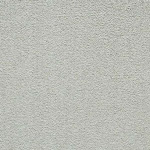 Mocheta gri, Balta ITC PISSARRO WFB 39, 4ml