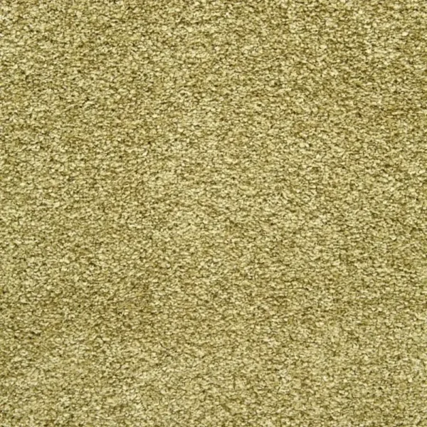 Mocheta verde oliv, saxony Twinback, Romeo WFB 024, Balta, 4ml