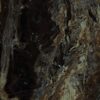 Gresie rectificata tip marmura Allmarble Frappucino Lux 60X60 cm MMGF Marazzi