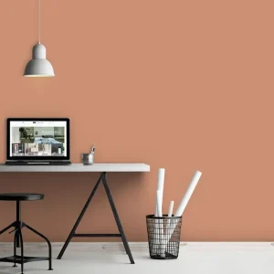 Vopsea roșie teracotă satinată Menagerie No. 63, 5L, Farrow & Ball