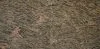 Granit Exotic Juparana Placaj 61x30.5 1.2 Lustruit