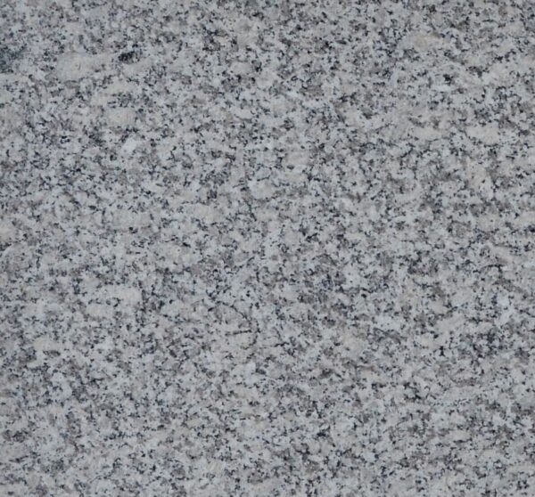Granit Leopard Grey Placaj 60x60 1.5 Lustruit