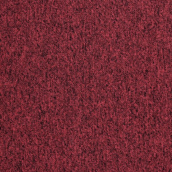 Mocheta rosie buclata rezistenta Tapibel Cobalt 42380 5.5 mm 4 ML