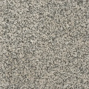Granit Gris Mondariz Placaj 40x40 1.00 Lustruit
