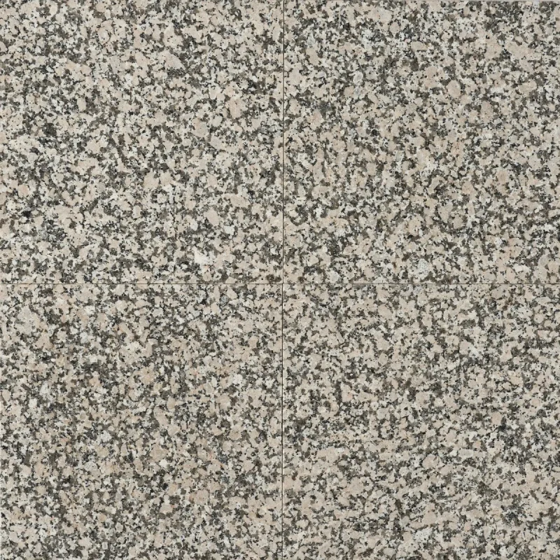Granit Gris Mondariz Placaj 40x40 1.00 Lustruit