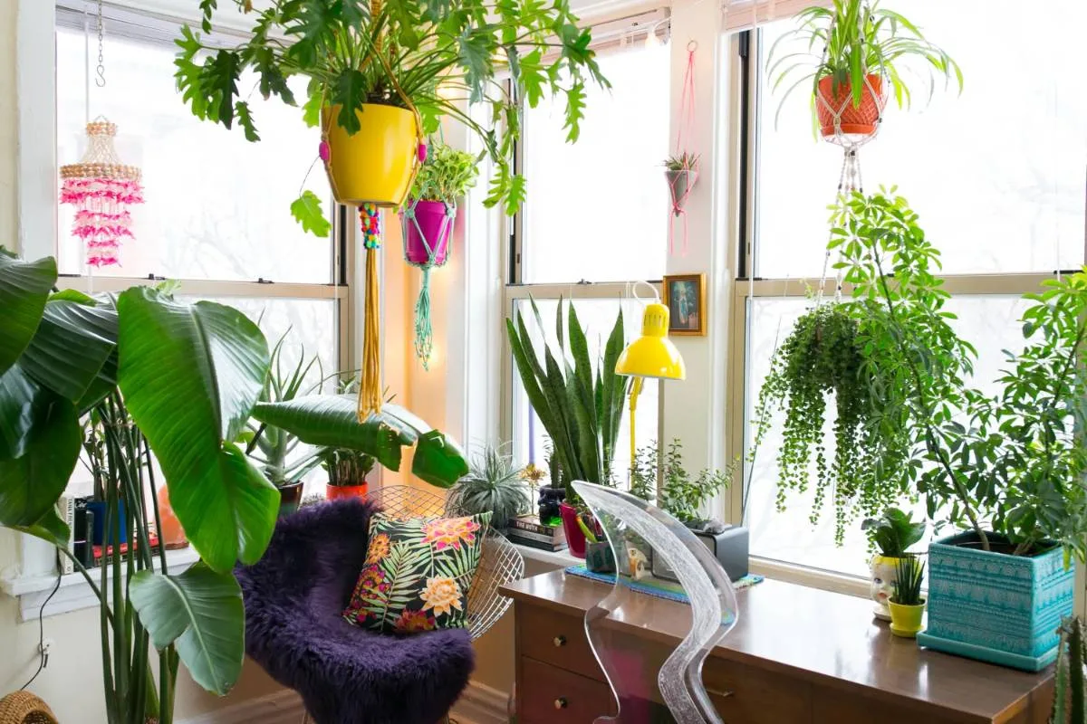 4 Moduri de a folosi florile în casa ta
