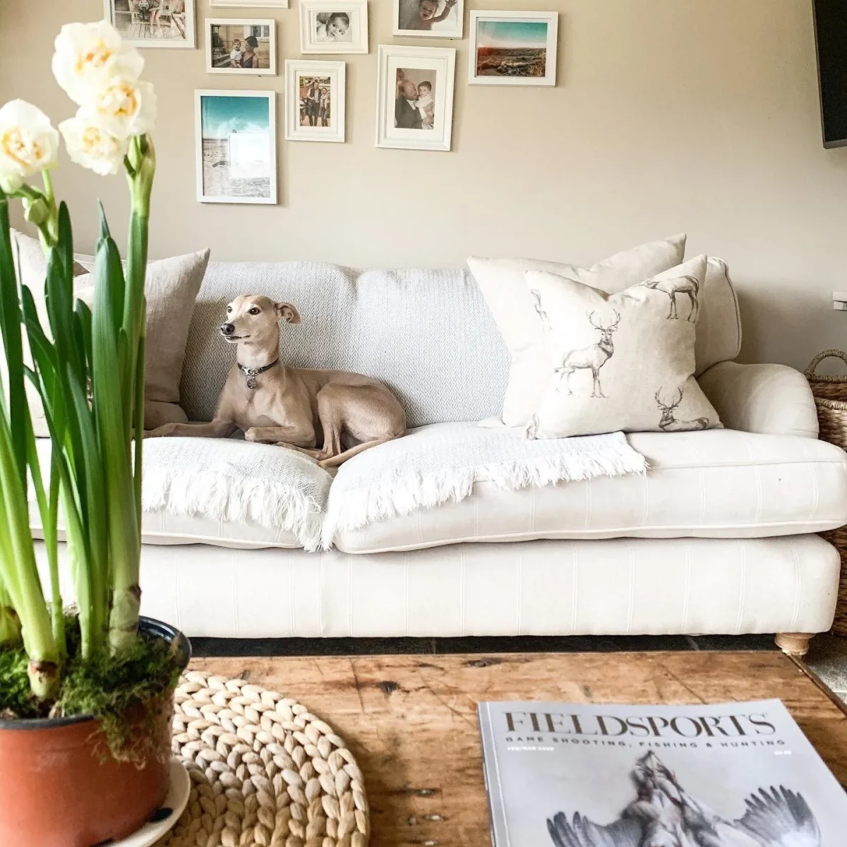 Vopsea taupe mata 7 la suta luciu pentru interior Farrow and Ball Mostra Joa's White No. 226 100 ml