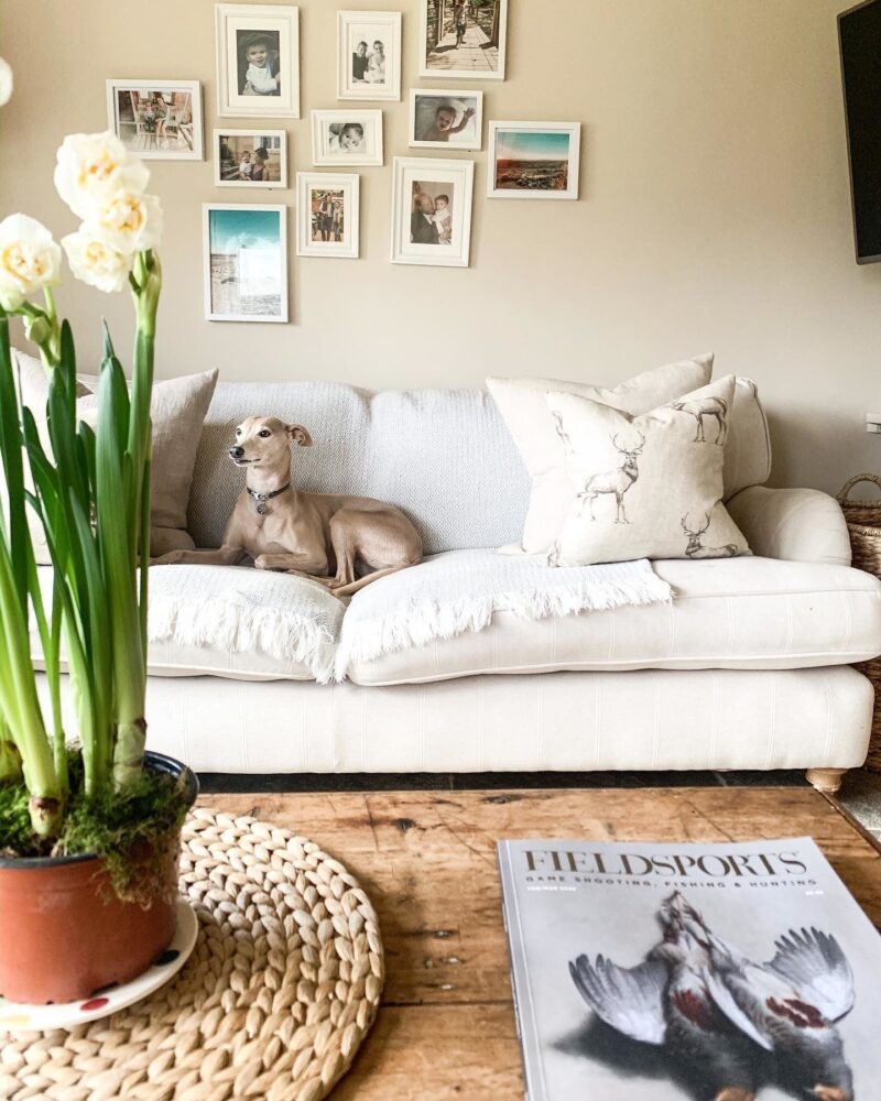Vopsea taupe satinata 40 la suta luciu pentru interior Farrow and Ball Modern Eggshell Joa's White No. 226 750 ml - imagine 3