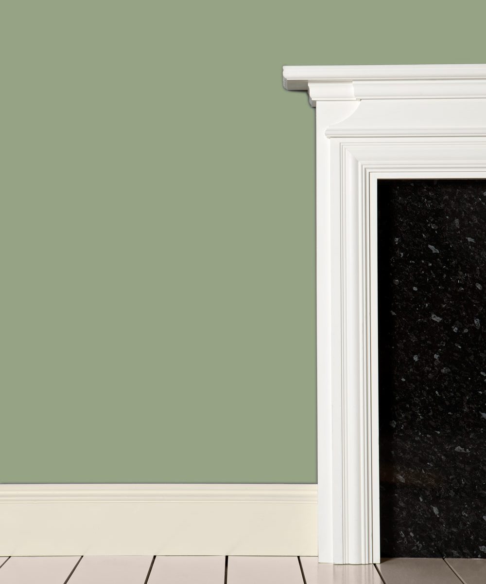 Vopsea verde mata 7 la suta luciu pentru interior Farrow and Ball Mostra Lichen No. 19 100 ml