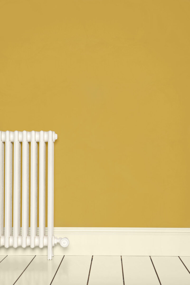 Vopsea galbena mata 7 la suta luciu pentru interior Farrow and Ball Mostra Print Room Yellow No. 69 100 ml