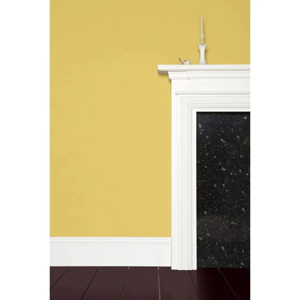 Vopsea galbena mata 7 la suta luciu pentru interior Farrow and Ball Mostra Yellow Ground No. 218 100 ml
