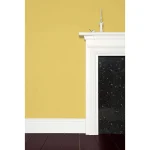 Vopsea galbena mata 7 la suta luciu pentru interior Farrow and Ball Mostra Yellow Ground No. 218 100 ml