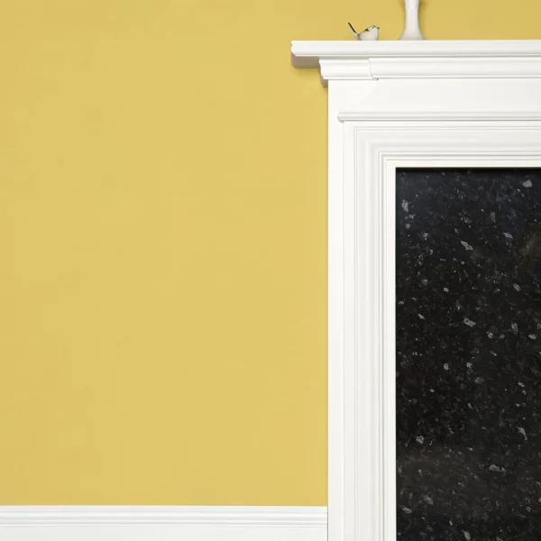 Vopsea galbena mata 7 la suta luciu pentru interior Farrow and Ball Mostra Yellow Ground No. 218 100 ml