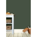 Vopsea verde mata 2 la suta luciu pentru interior Farrow and Ball Estate Emulsion Minster Green No. 224 2.5 Litri