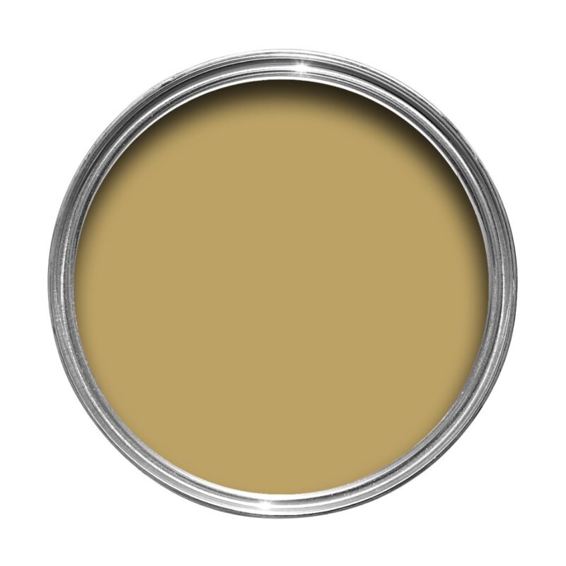Vopsea galbena mata 7 la suta luciu pentru interior Farrow and Ball Mostra Cats Paw No. 240 100 ml