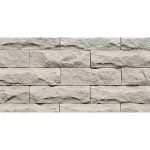Piatra decorativa din beton tip placa Stegu Amsterdam 1 0.59 mp cutie