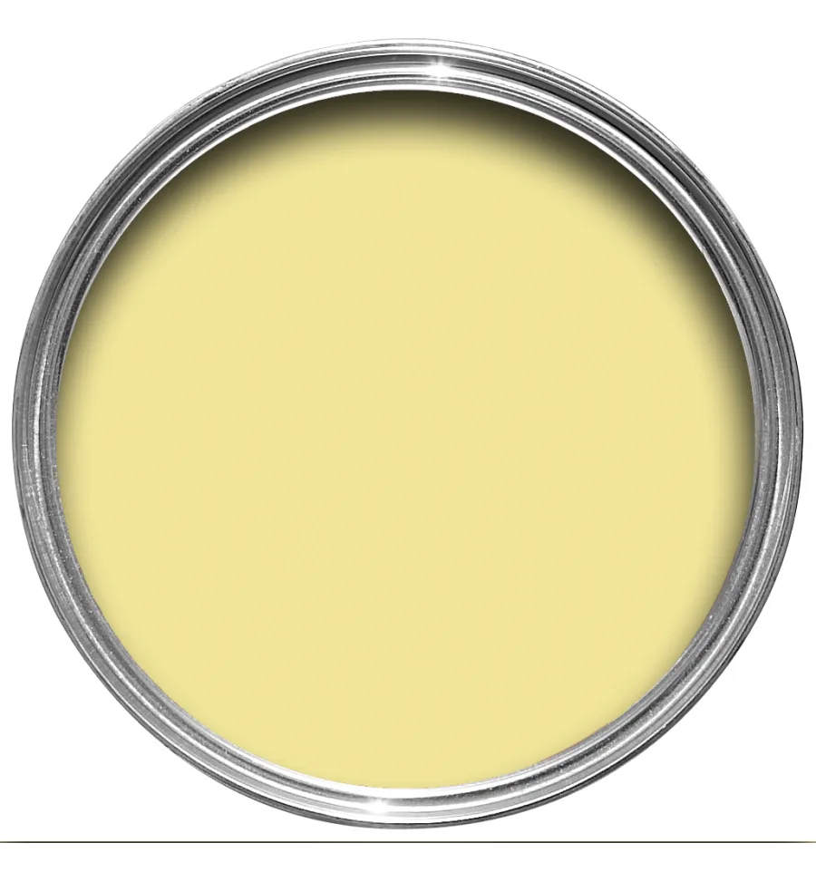 Vopsea galbena mata 2 la suta luciu pentru interior Farrow and Ball Casein Distemper Hound Lemon No. 2 5 Litri