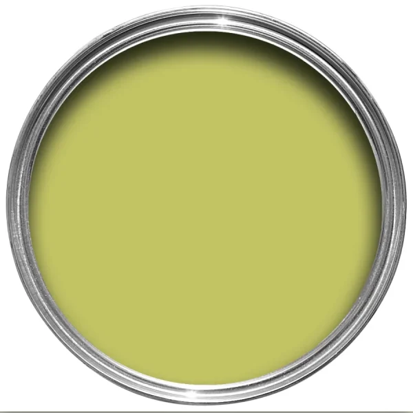 Vopsea verde mata 2 la suta luciu pentru interior Farrow and Ball Estate Emulsion Acid Drop No. 9908 2.5 Litri