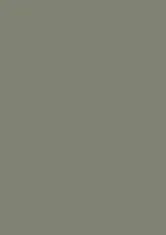 Vopsea verde mata 7 la suta luciu pentru interior Farrow and Ball Mostra Treron No.292 100 ml