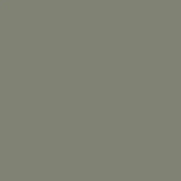 Vopsea verde mata 7 la suta luciu pentru interior Farrow and Ball Mostra Treron No.292 100 ml