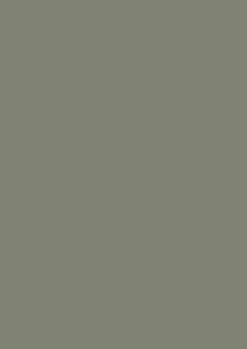 Vopsea verde mata 2 la suta luciu pentru interior Farrow and Ball Estate Emulsion Treron No.292 5 Litri - imagine 2