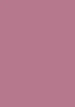 Vopsea roz mata 7 la suta luciu pentru interior Farrow and Ball Mostra Rangwali No.296 100 ml