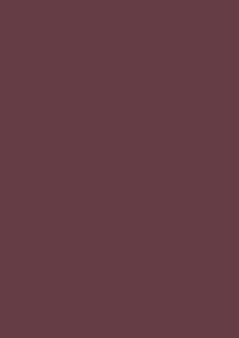 Vopsea rosie lucioasa 95 la suta luciu pentru interior exterior Farrow and Ball Full Gloss Preference Red No.297 750 ml - imagine 2