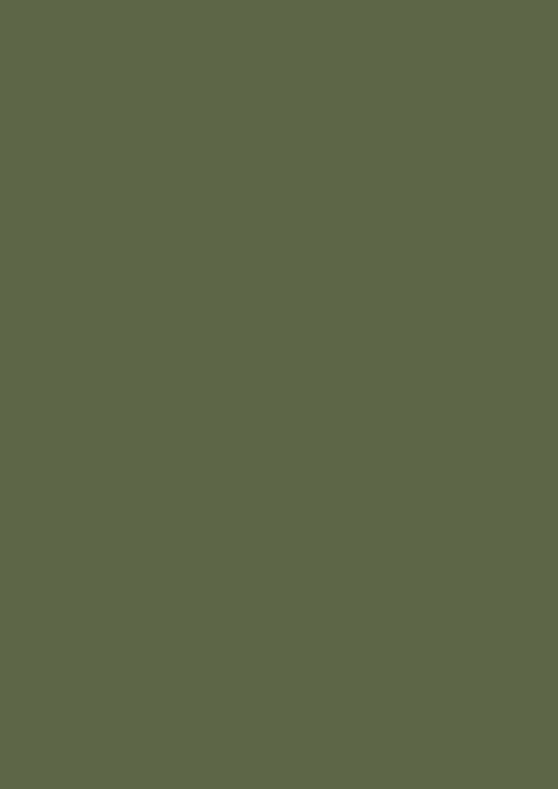 Vopsea olive mata 7 la suta luciu pentru interior Farrow and Ball Modern Emulsion Bancha No.298 2.5 Litri - imagine 2