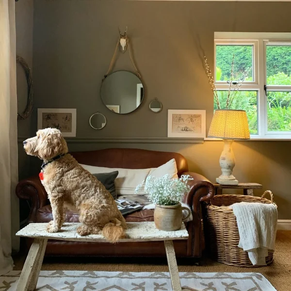 Vopsea maro mata 2 la suta luciu pentru interior Farrow and Ball Estate Emulsion Mouse's Back No. 40 2.5 Litri