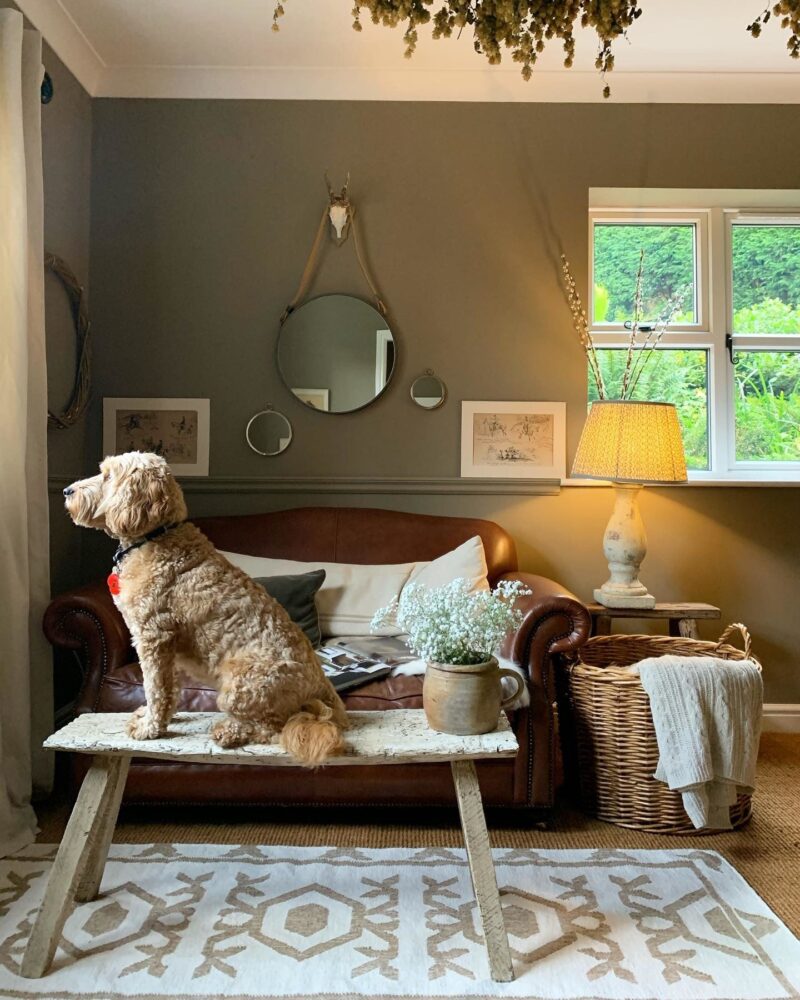 Vopsea maro satinata 20 la suta luciu pentru interior Farrow and Ball Estate Eggshell Mouse's Back No. 40 750 ml - imagine 2