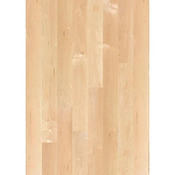 Parchet artar canadian, lacuit mat, 14x138x2200 mm, Andante, Boen