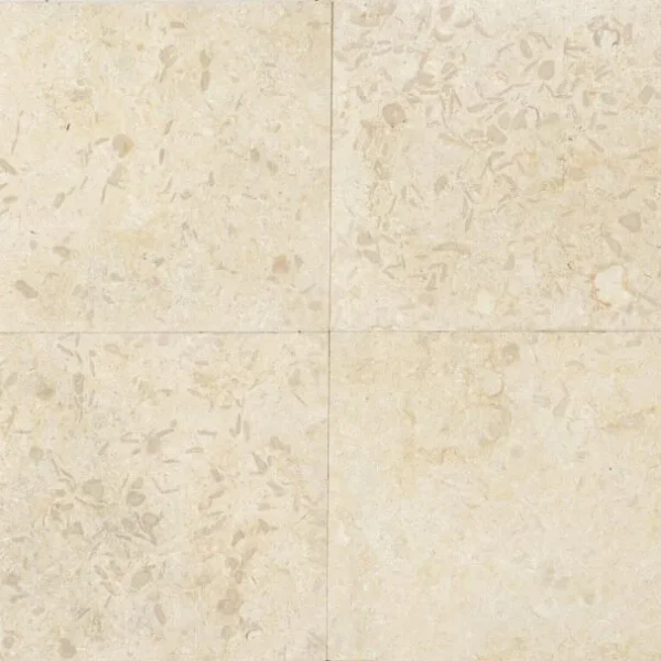 Calcar New Sunny Placaj 60x30 1.5 Periat