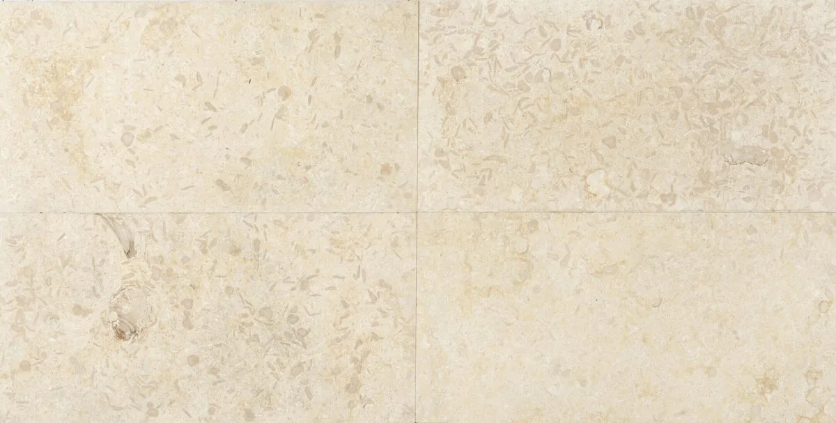 Calcar New Sunny Placaj 60×30 1.5 Periat