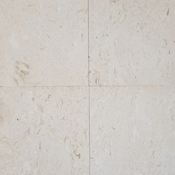Calcar Shell Beige Placaj 61x30.5 1.2 Periat