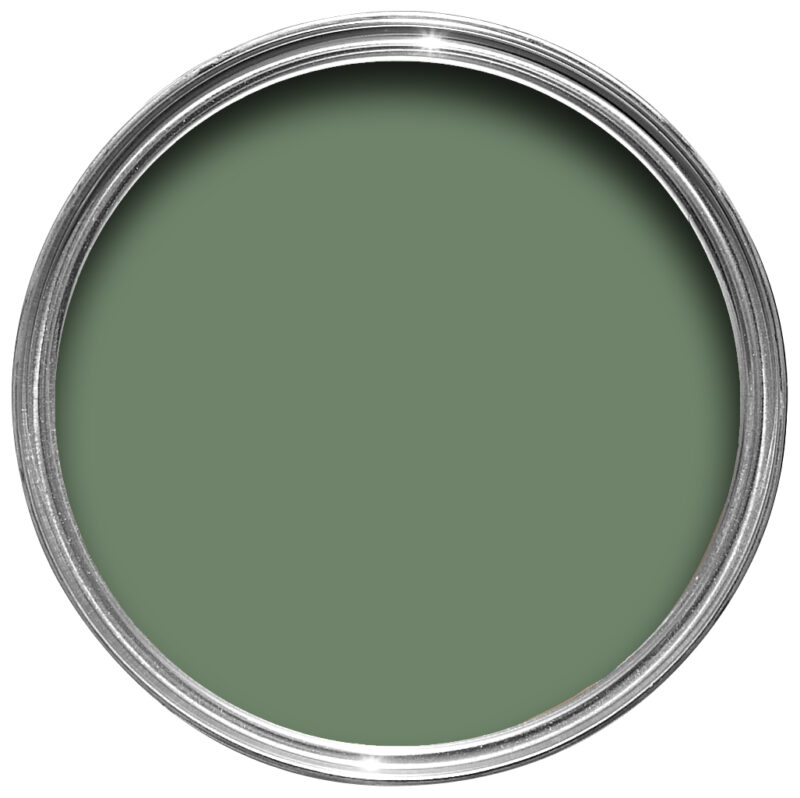 Vopsea verde mata 2 la suta luciu pentru interior Farrow and Ball Casein Distemper Calke Green No. 34 5 Litri - imagine 2