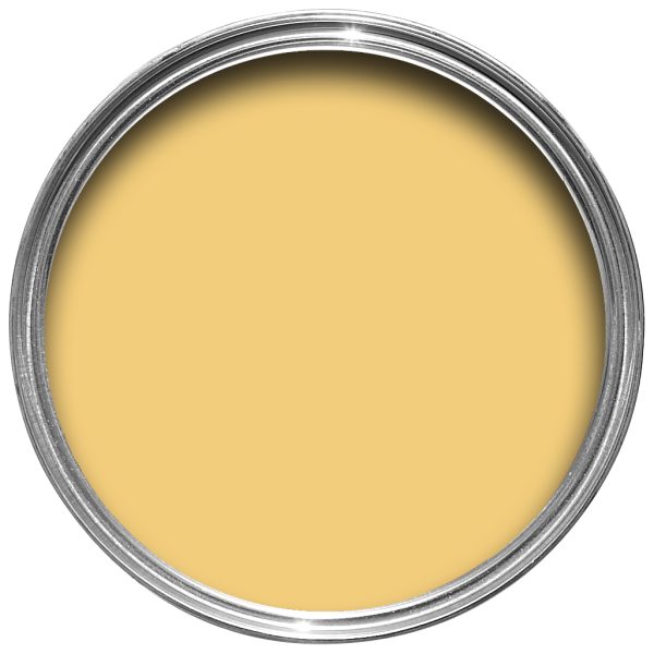 Vopsea galbena mata 7 la suta luciu pentru interior Farrow and Ball Mostra Citron No. 74 100 ml