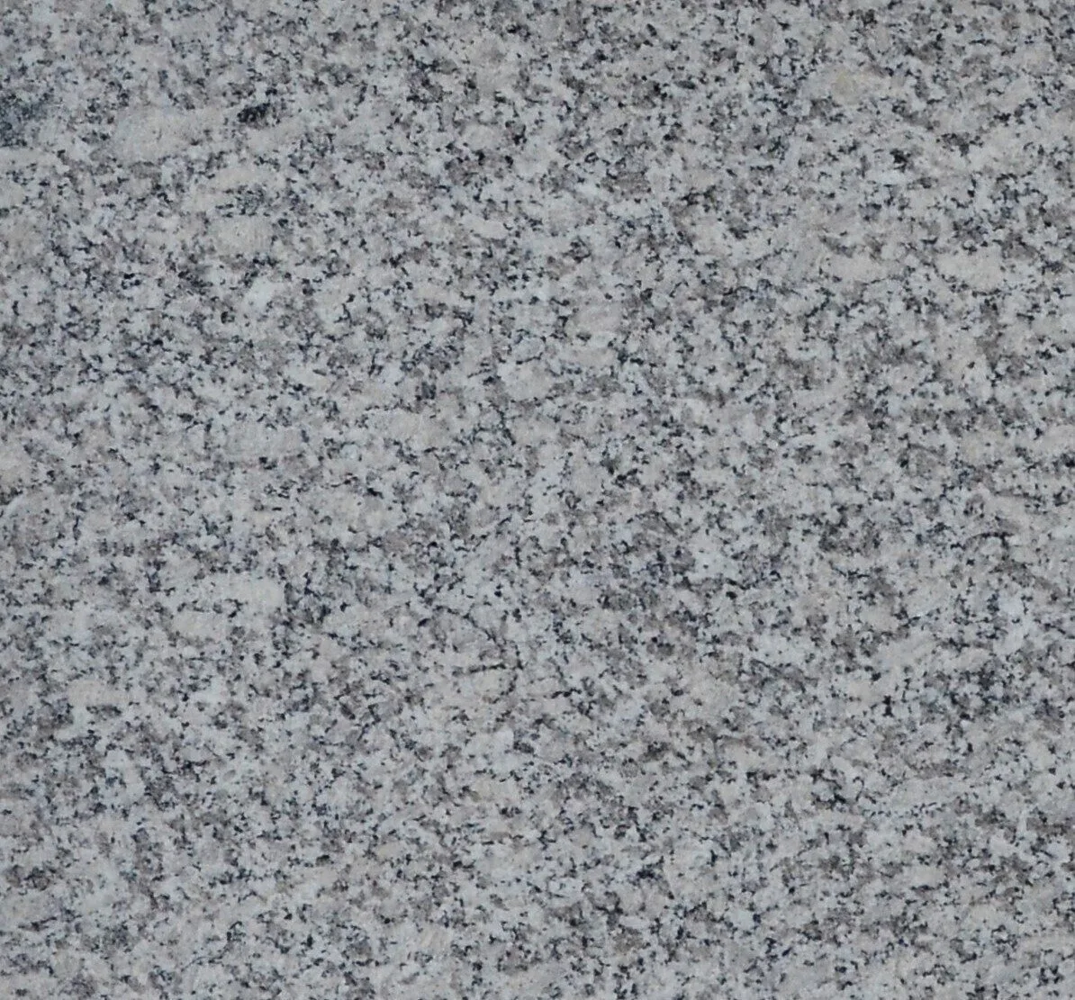 Granit Leopard Grey Placaj 60×60 1.5 Lustruit
