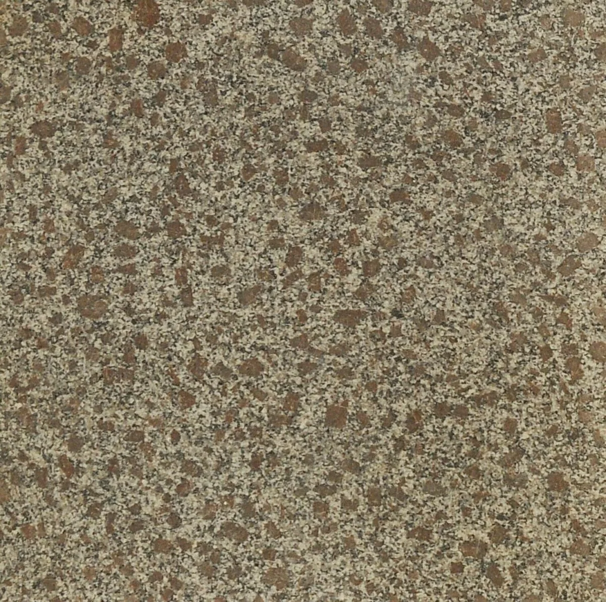 Granit Padang Bown Placaj 60×30 1.8 Lustruit