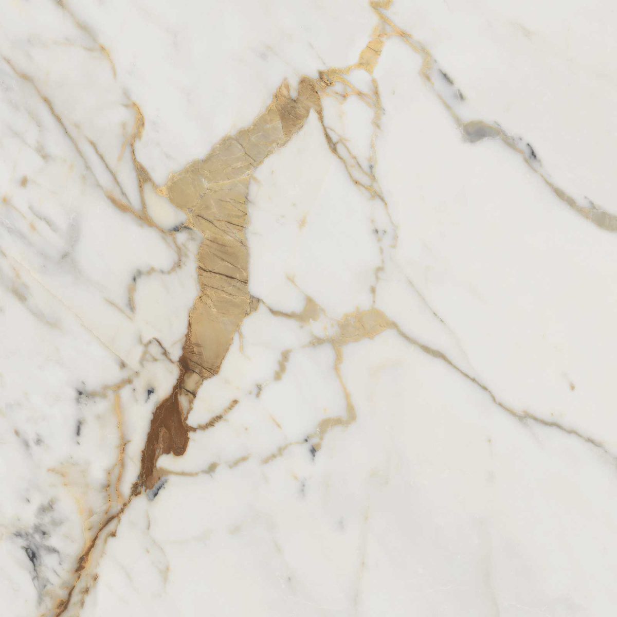 Gresie rectificata tip marmura Allmarble Golden White 60X60 cm M4GP Marazzi