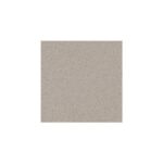 Gresie spatii publice Marazzi Graniti Grigio Chiaro_Gr 30×30 cm MRTC