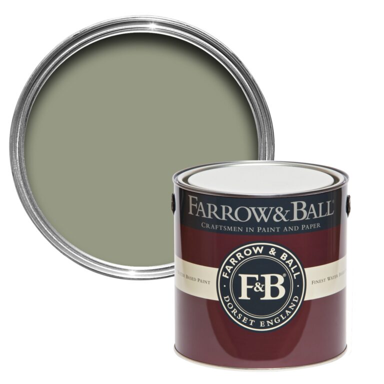 Vopsea verde mata 7 la suta luciu pentru interior Farrow and Ball Mostra Lichen No. 19 100 ml