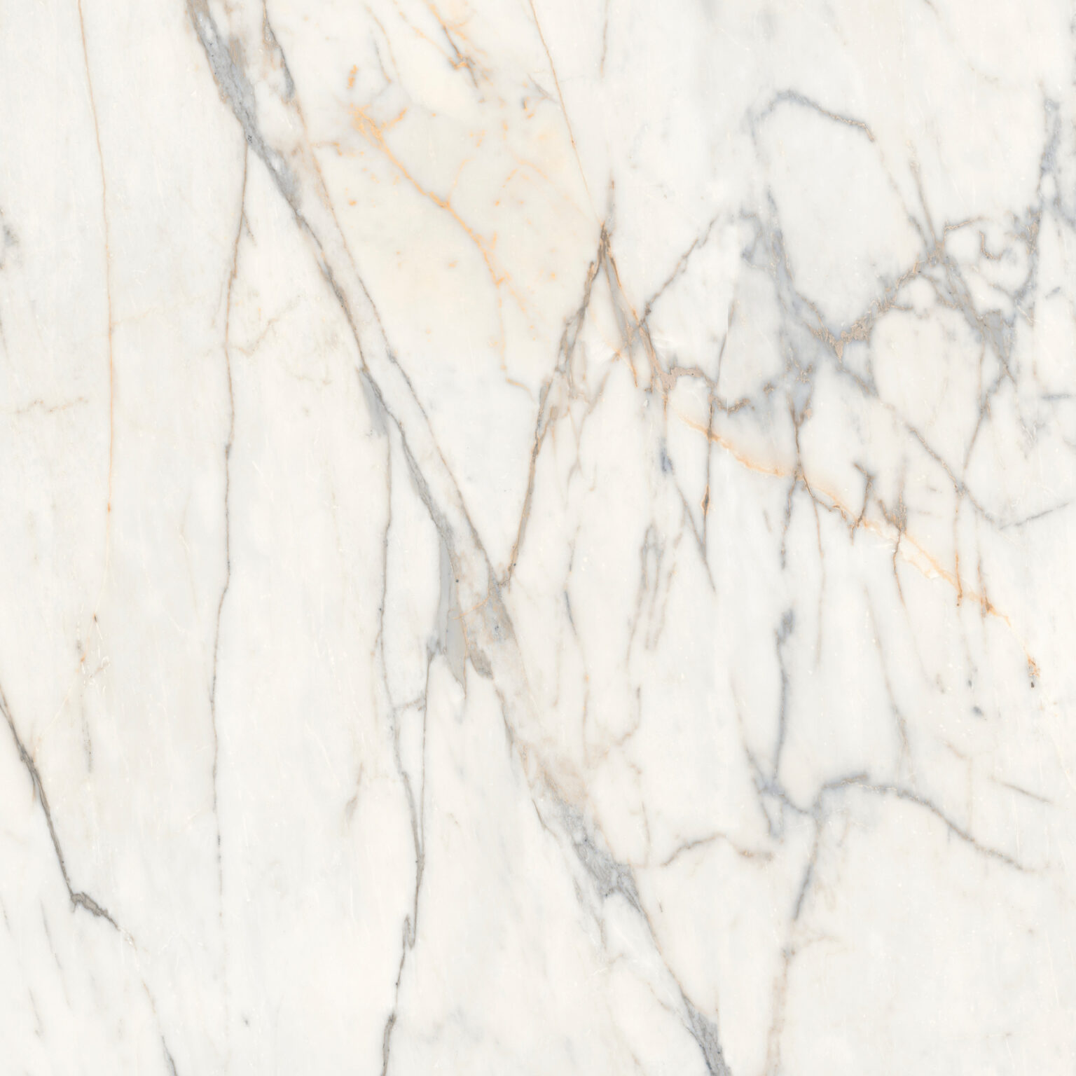 Gresie alba, Golden White, 120x120 cm