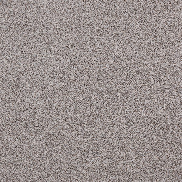 Mocheta fir tuns 10 mm Tapibel President E, gri, trafic intens, 4 m