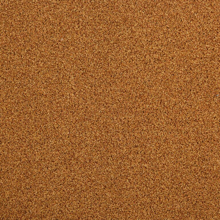 Mocheta fir tuns 10 mm portocalie, trafic intens, Tapibel President E 53348, 4 ML