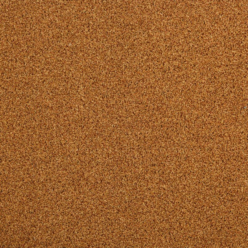 Mocheta fir tuns 10 mm portocalie, trafic intens, Tapibel President E 53348, 4 ML