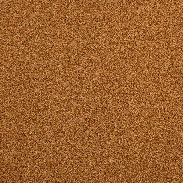 Mocheta fir tuns 10 mm portocalie, trafic intens, Tapibel President E 53348, 4 ML