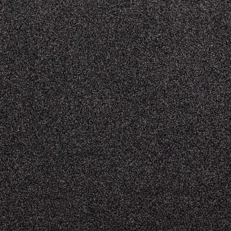 Mocheta fir tuns 10 mm, neagra, trafic intens, President E, Tapibel, 4 ML