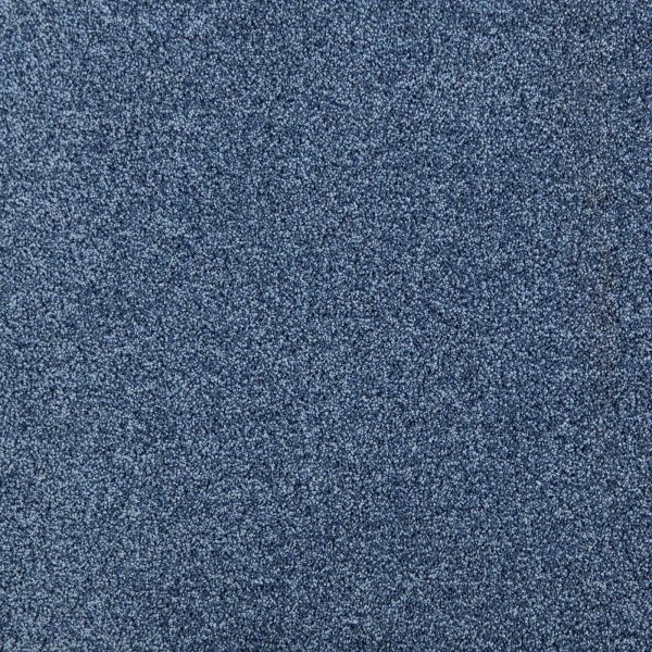 Mocheta fir tuns, albastra, 10 mm, Tapibel President E 53360, 4 ML