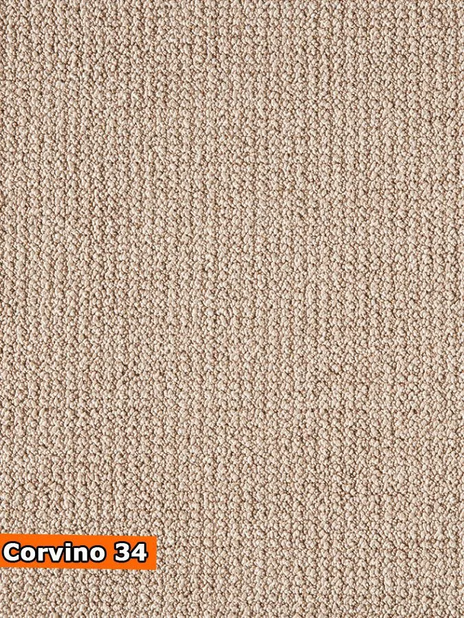 Mocheta maro Balta ITC CORVINO WFB 034
